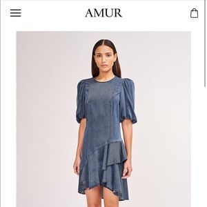 Amur Dress New With Tags